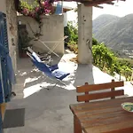 Pomelia *